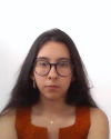 imagem do professor