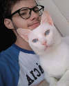imagem do professor