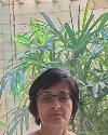imagem do professor