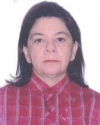 imagem do professor