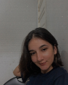 imagem do professor