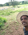 imagem do professor