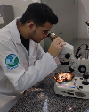 imagem do professor